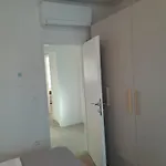 Smokvica - New *