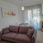 Smokvica - New